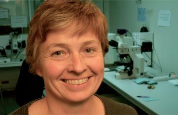 Sylvie Coudray, anthracologue