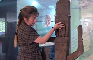 Anne Dietrich, xylologue