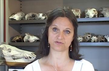 Isabelle Rodet-Belarbi