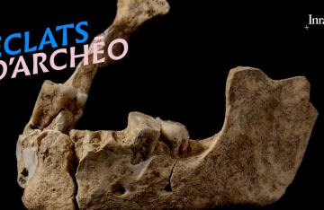 Éclats d'archéo #2 - Les premiers Parisiens