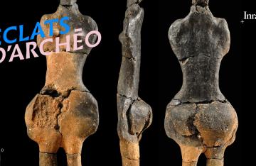 Éclats d'Archéo #7 - La dame de Villers-Carbonnel 