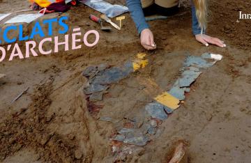 Éclats d'Archéo #9 - Le débarquement de Blainville-sur-Orne 