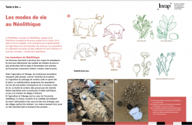 Texte à lire et iconographie : Les modes de vie au Néolithique
