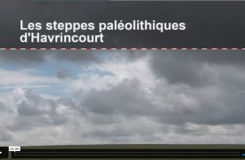 Les steppes paléolithiques d'Havrincourt